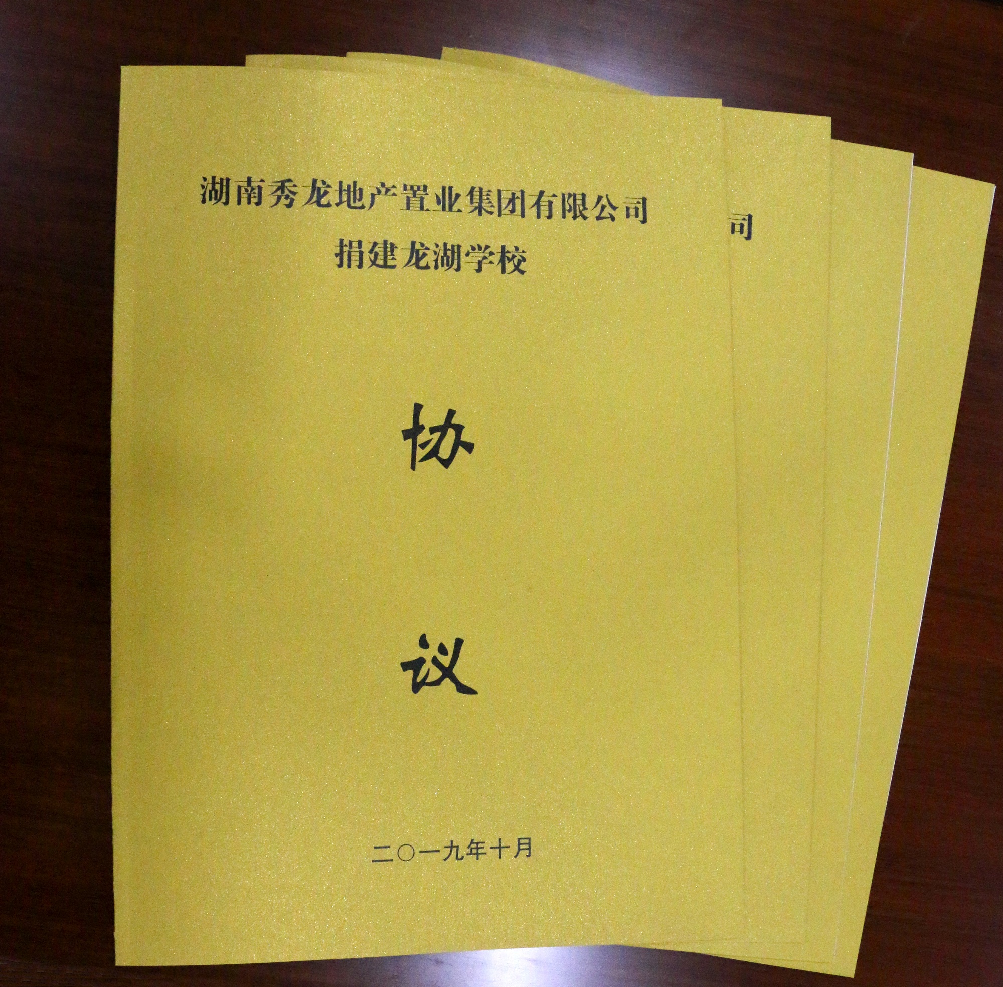 秀龍地產(chǎn)肖玉軍董事長(zhǎng) 出資6000萬(wàn)新建漣源龍湖學(xué)校